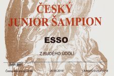 Esso